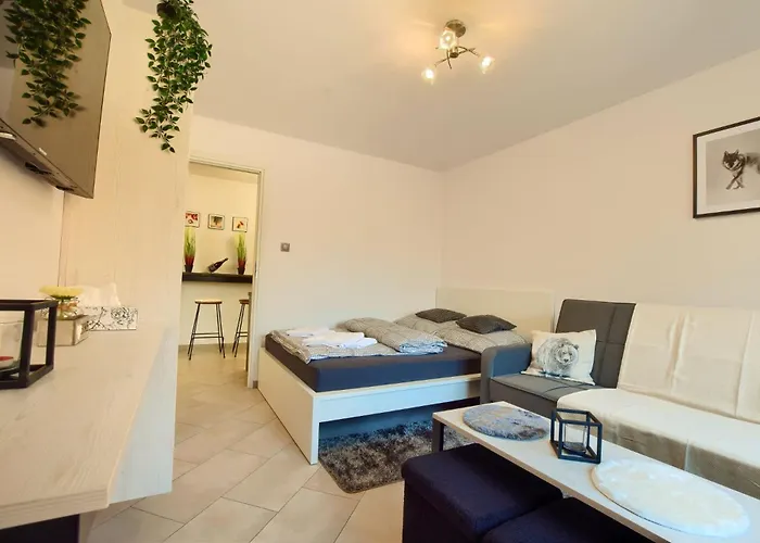 Dom Camelowo Apartment *