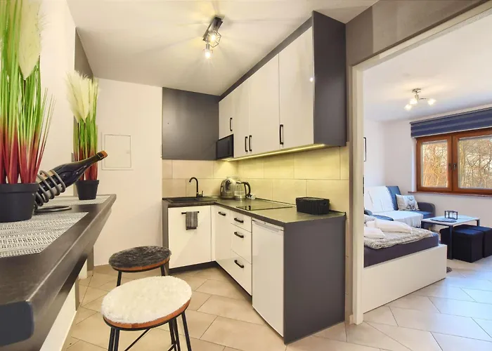 Dom Camelowo Apartment *